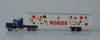wondersmall.gif (100530 bytes)